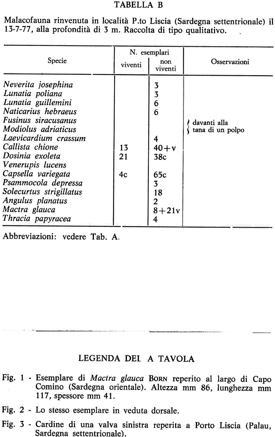 lucens Capsella variegata Psammocola depressa Solecurtus strigillatus Angulus planatus Mactra glauca Thracia papyracea 1 21 4c 6 6 4 40+v 8c 65c 18 2 8+21v 4 t davanti alla ~ tana di un polpo