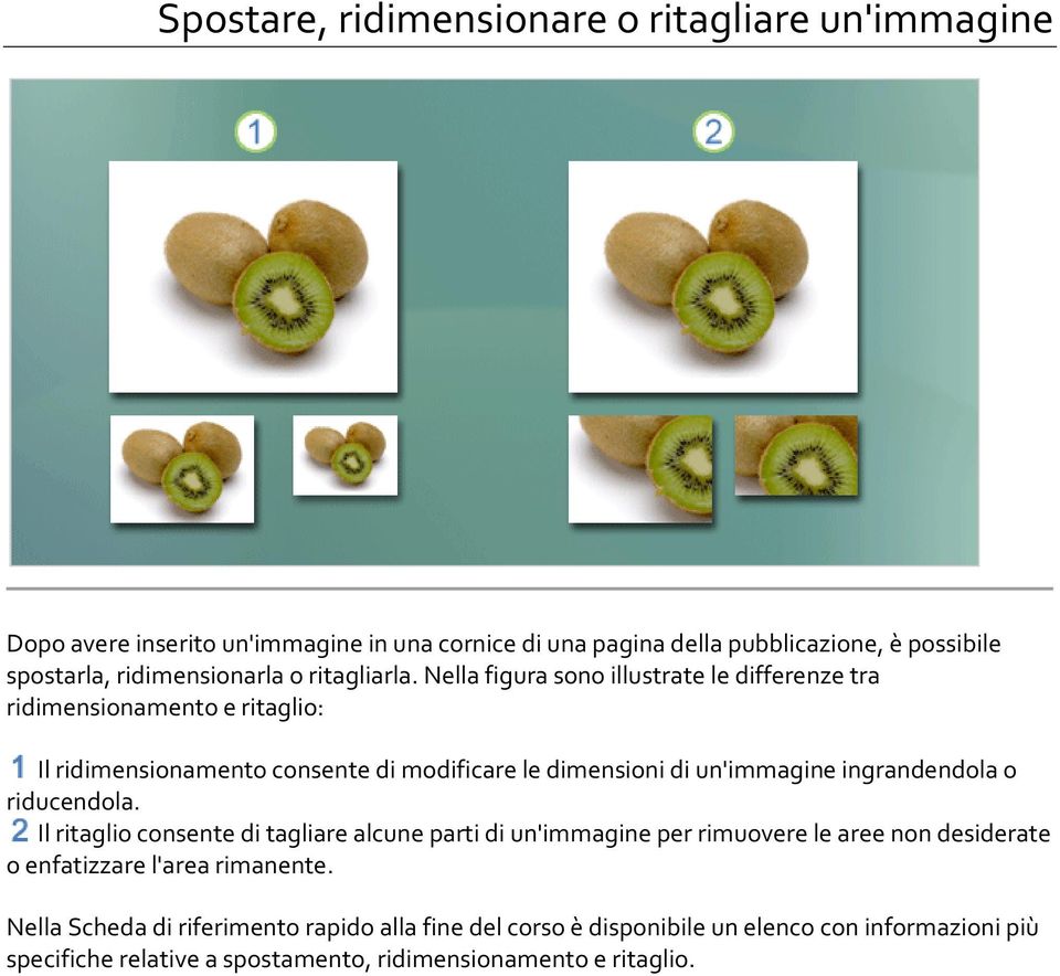 Nella figura sono illustrate le differenze tra ridimensionamento e ritaglio: Il ridimensionamento consente di modificare le dimensioni di un'immagine ingrandendola