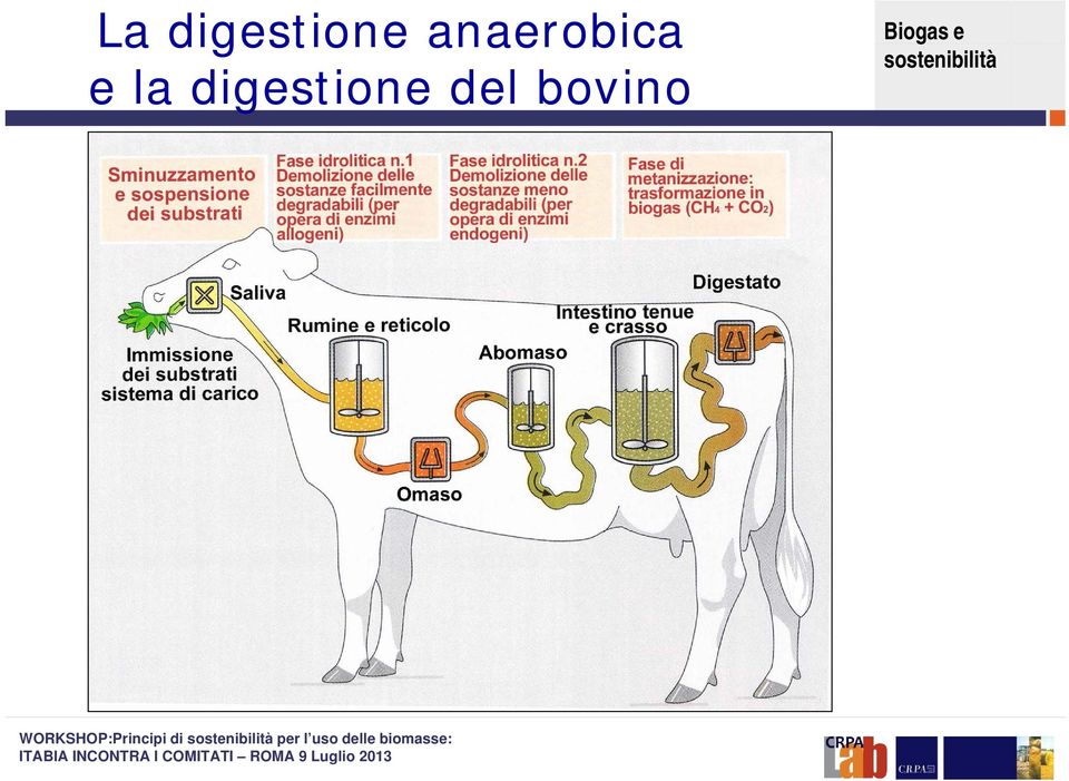 la digestione