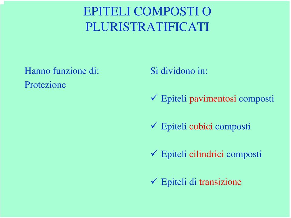 Epiteli pavimentosi composti Epiteli cubici