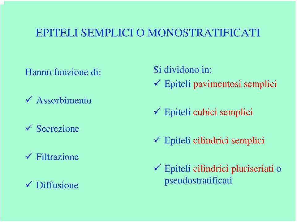 Epiteli pavimentosi semplici Epiteli cubici semplici Epiteli