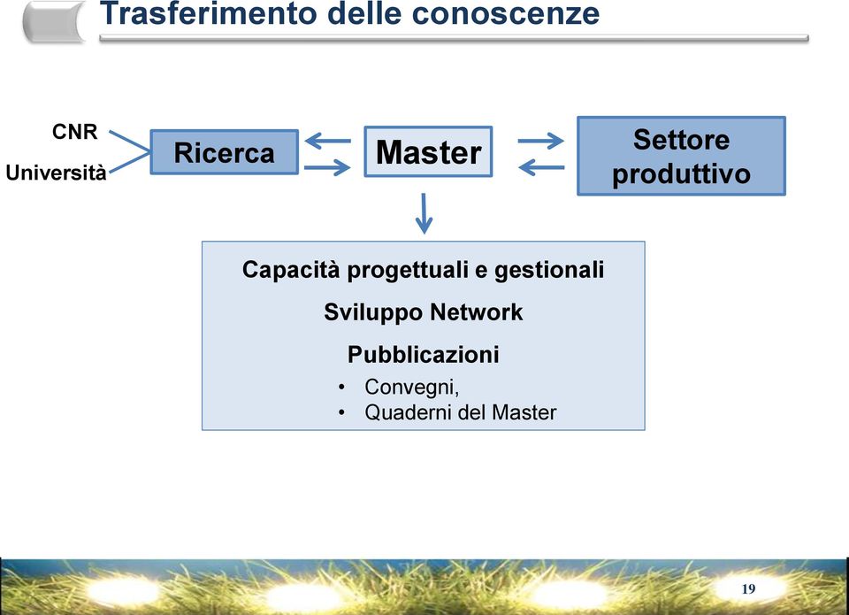 Capacità progettuali e gestionali Sviluppo