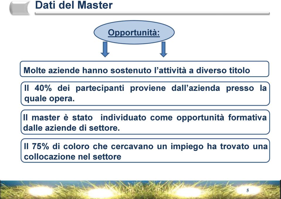 Il master è stato individuato come opportunità formativa dalle aziende di