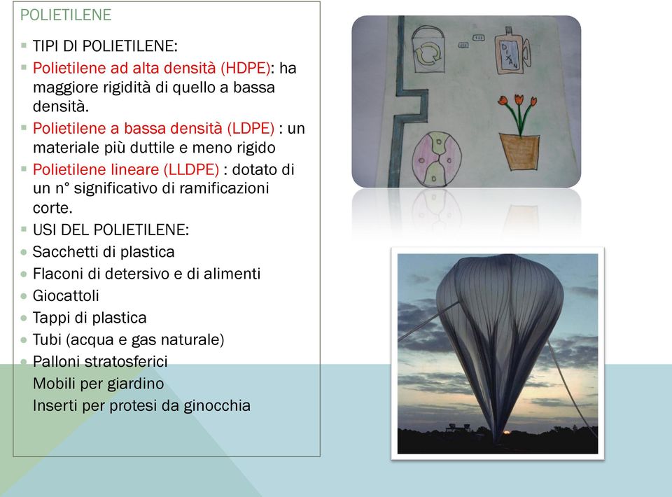 significativo di ramificazioni corte.