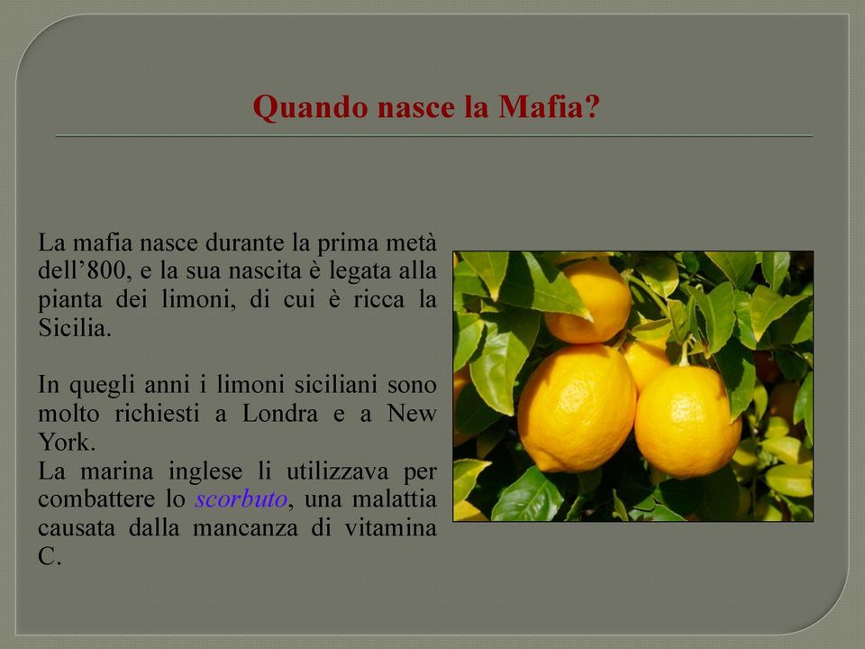 pianta dei limoni, di cui è ricca la Sicilia.