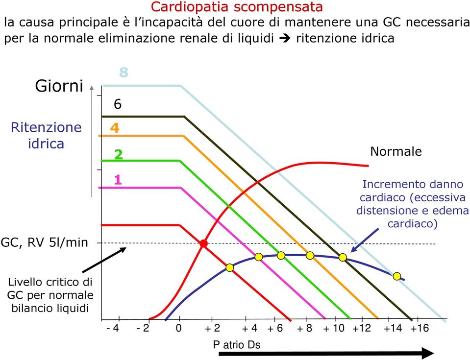 idrica GC, RV 5l/min 8 6 4 2 1 Normale Incremento danno cardiaco (eccessiva distensione e edema