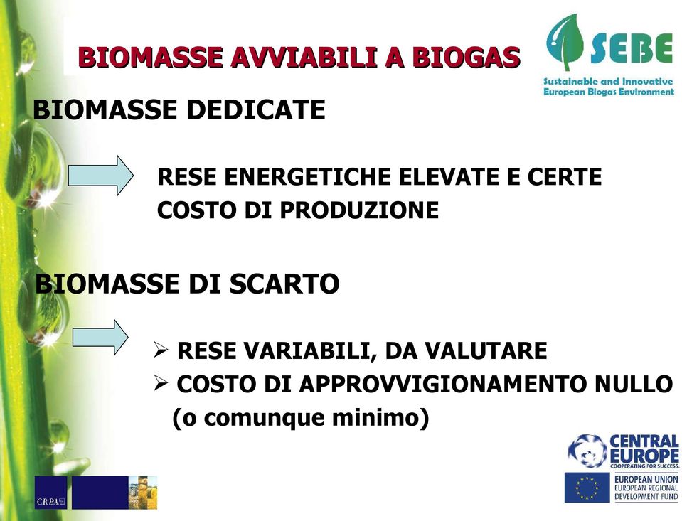 PRODUZIONE BIOMASSE DI SCARTO RESE VARIABILI, DA