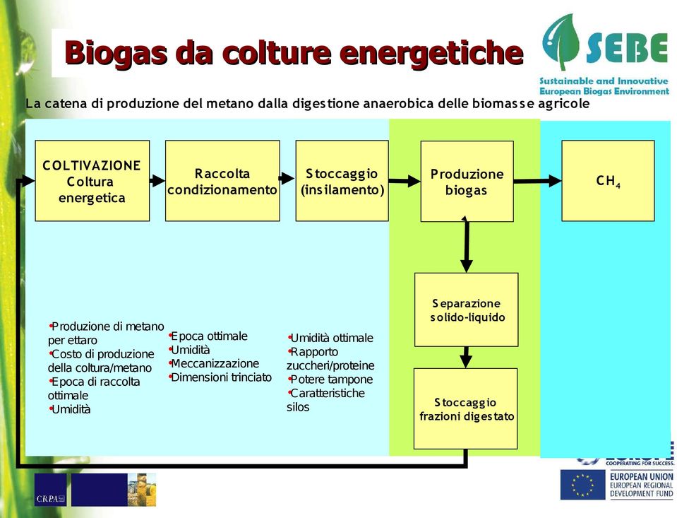 di produzione della coltura/metano Epoca di raccolta ottimale Umidità Epoca ottimale Umidità Meccanizzazione Dimensioni trinciato