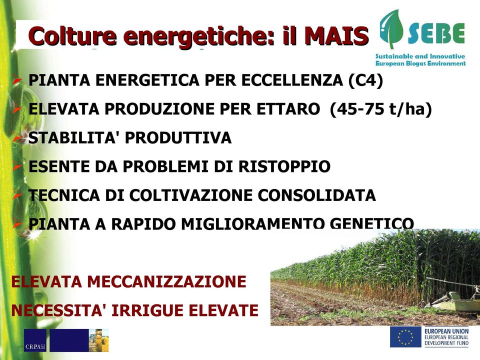 DA PROBLEMI DI RISTOPPIO TECNICA DI COLTIVAZIONE CONSOLIDATA PIANTA A