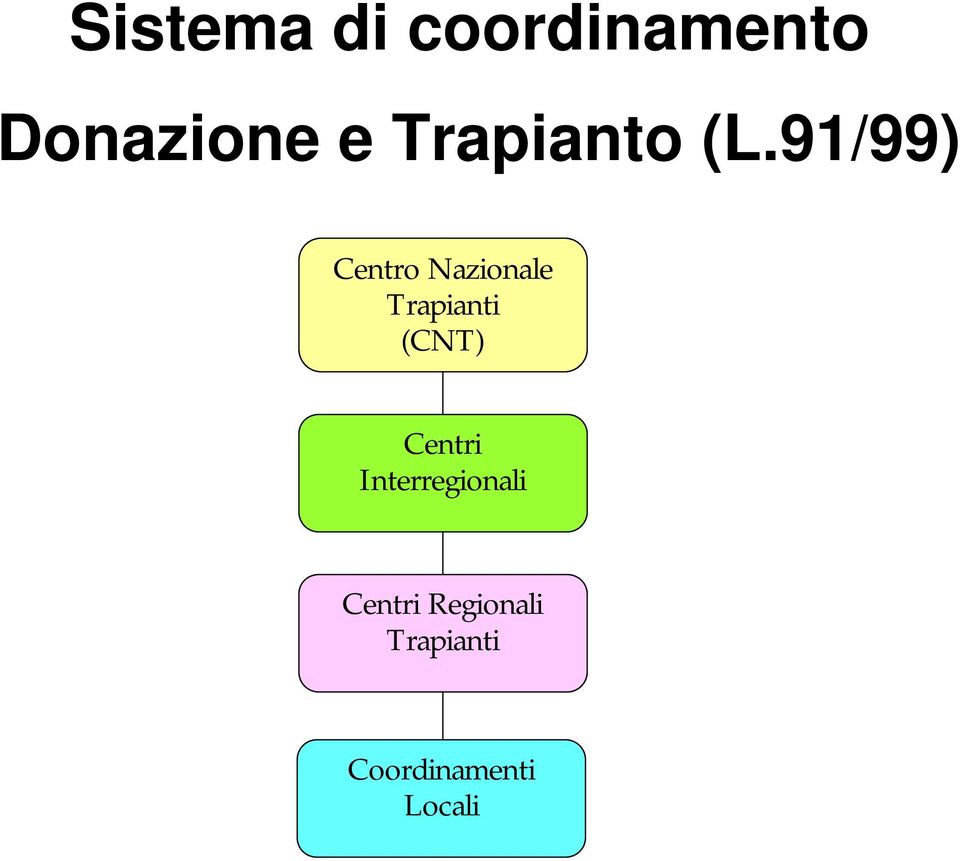 91/99) Centro Nazionale Trapianti (CNT)