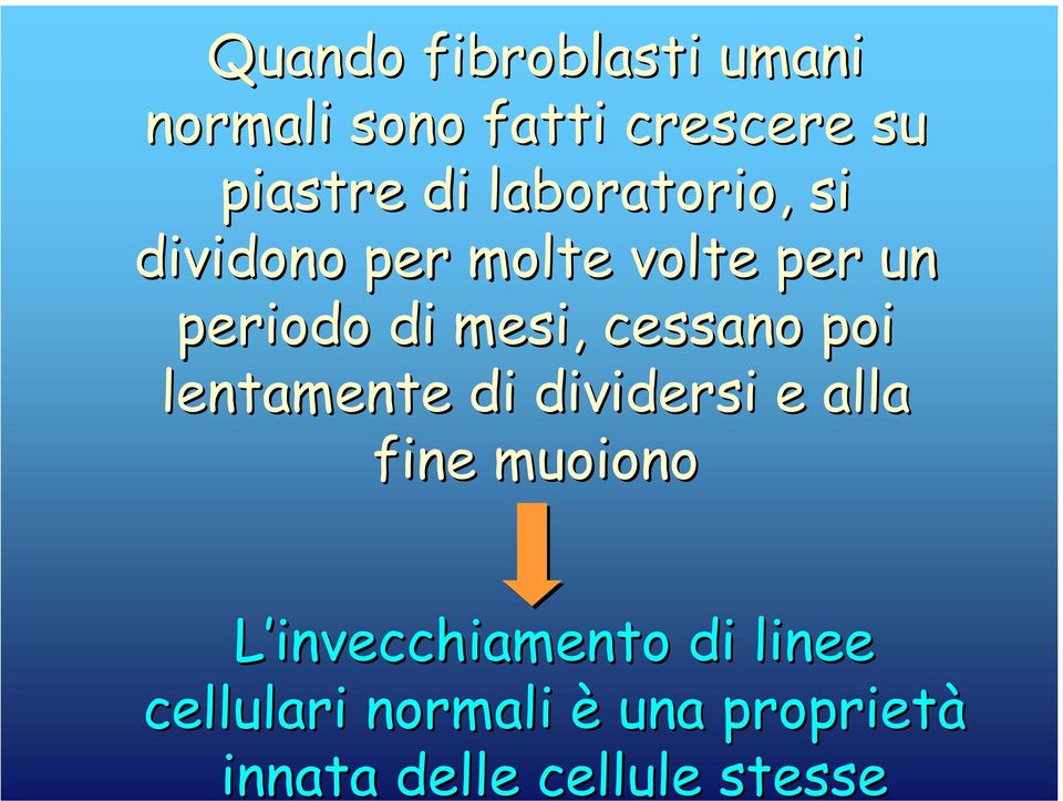 cessano poi lentamente di dividersi e alla fine muoiono L