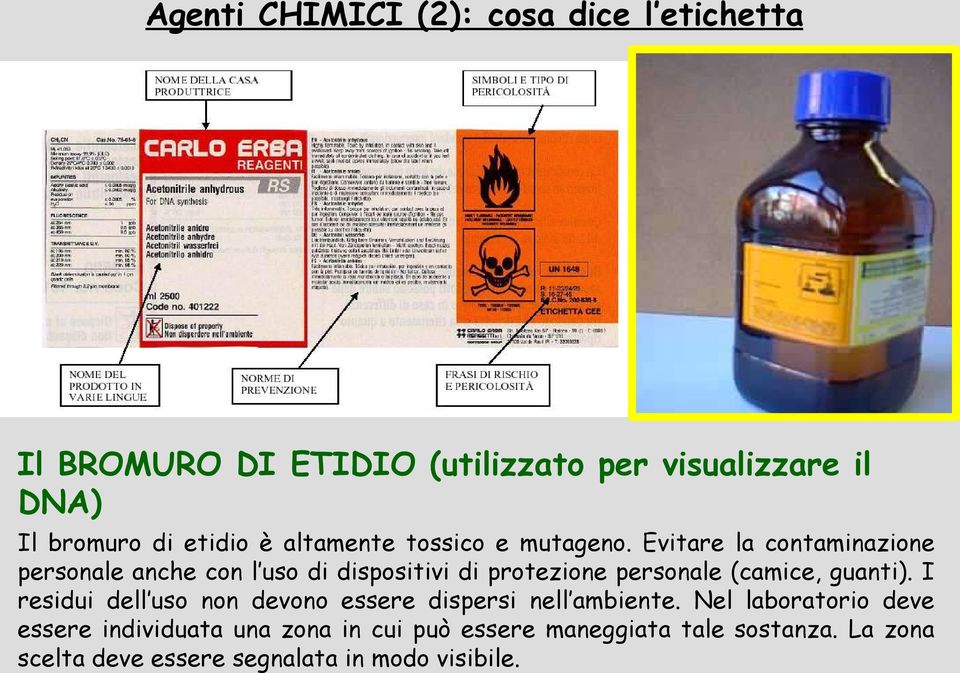 Evitare la contaminazione personale anche con l uso di dispositivi di protezione personale (camice, guanti).