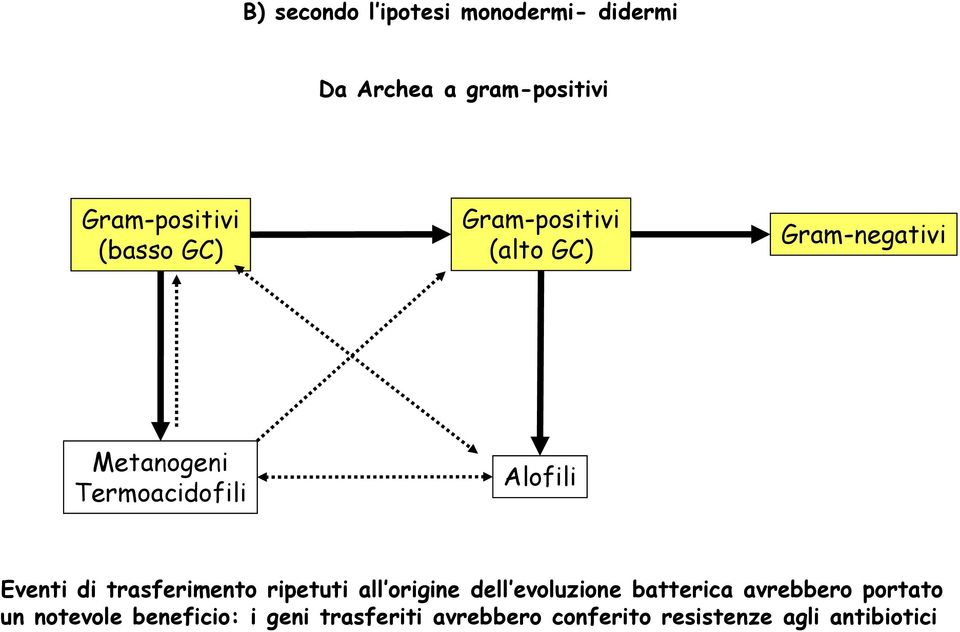 Eventi di trasferimento ripetuti all origine dell evoluzione batterica avrebbero