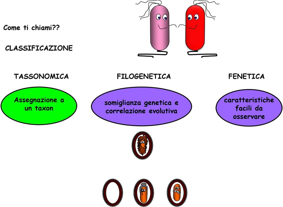 FENETICA Assegnazione a un taxon somiglianza