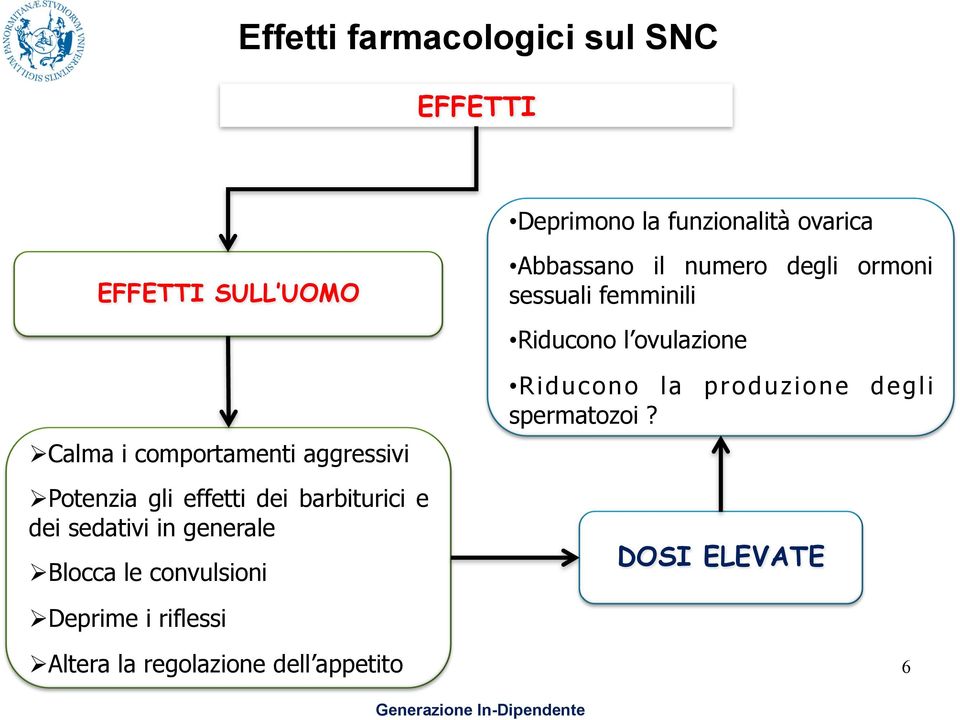 Potenzia gli effetti dei barbiturici e dei sedativi in generale Ø Blocca le convulsioni Riducono la