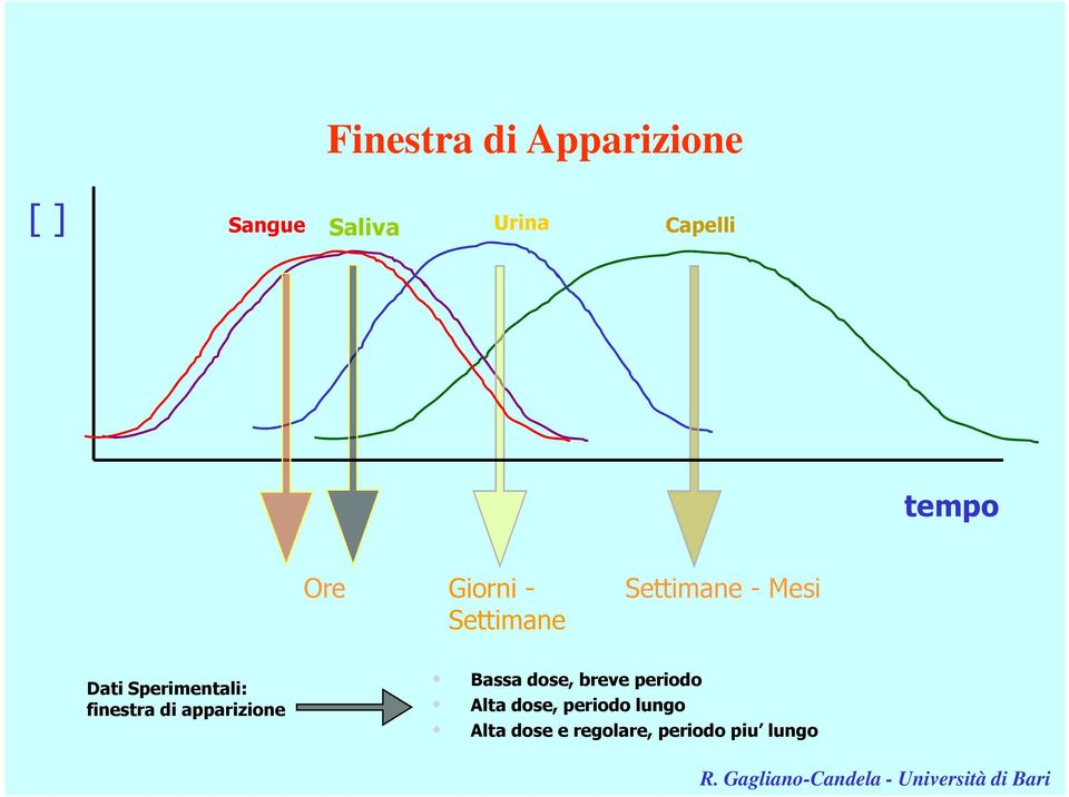 Sperimentali: finestra di apparizione Bassa dose, breve