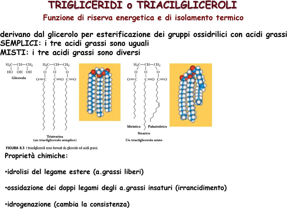 uguali MISTI: i tre acidi grassi sono diversi Proprietà chimiche: idrolisi del legame estere (a.