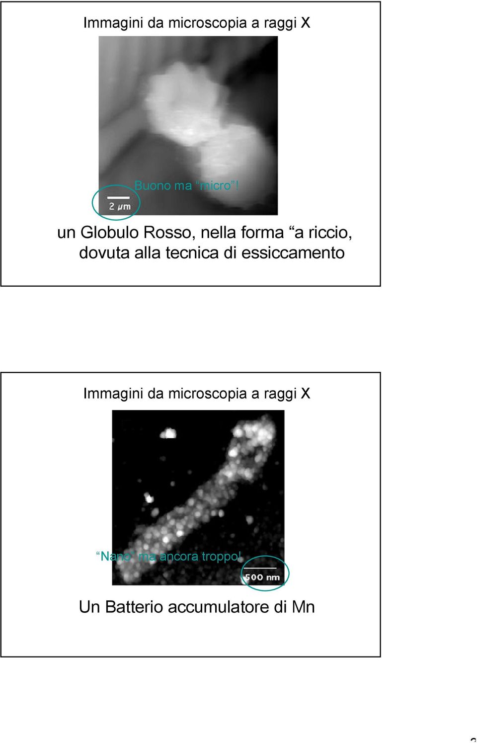 tecnica di essiccamento Immagini da microscopia a