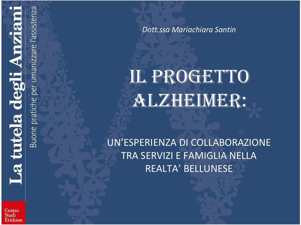 ESPERIENZA DI COLLABORAZIONE