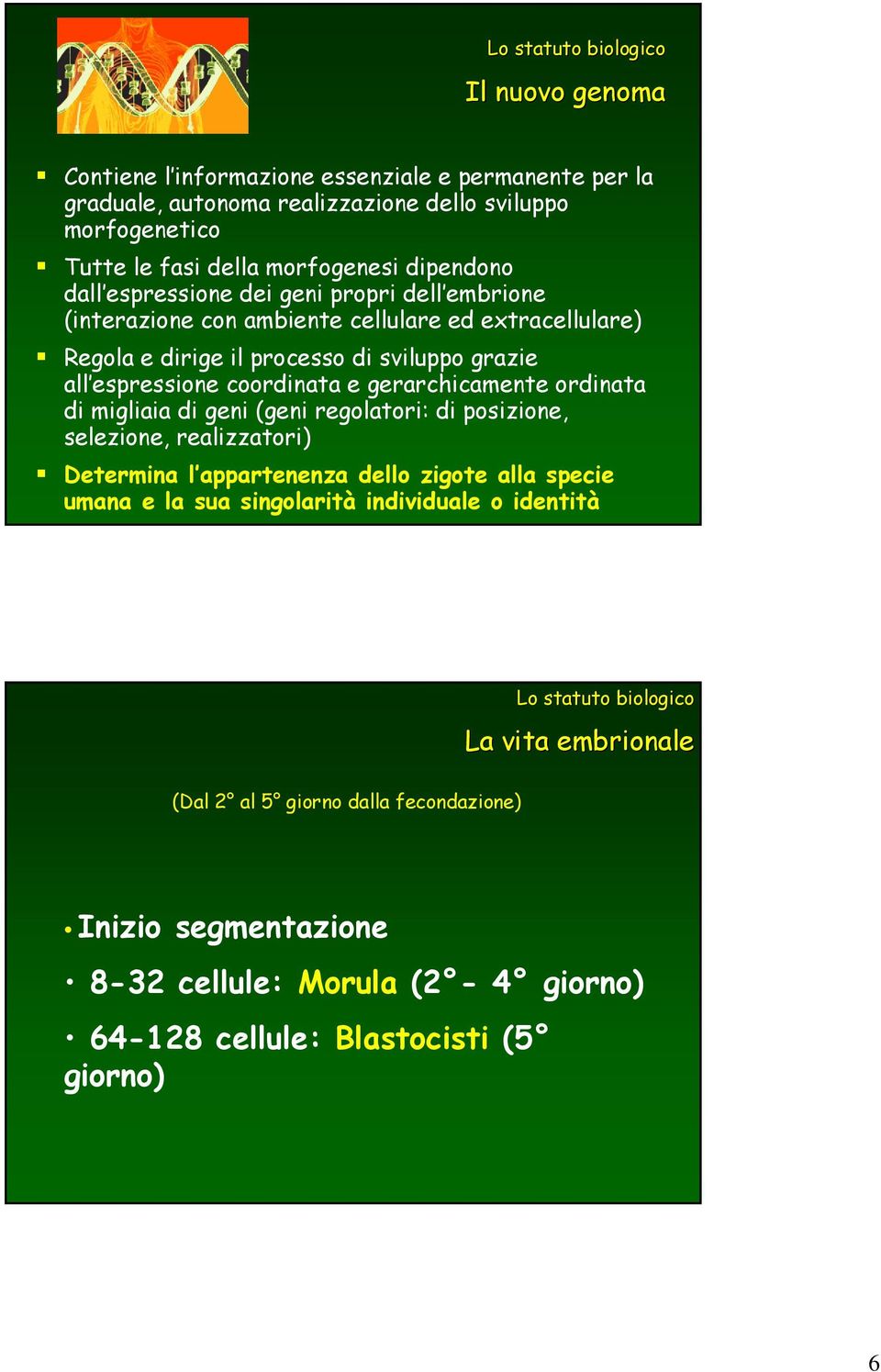 gerarchicamente ordinata di migliaia di geni (geni regolatori: di posizione, selezione, realizzatori) Determina l appartenenza dello zigote alla specie umana e la sua singolarità