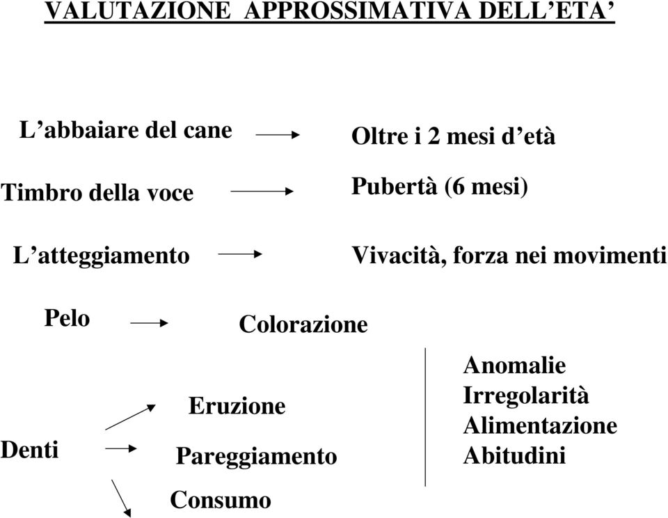 Vivacità, forza nei movimenti Denti Pelo Colorazione Eruzione