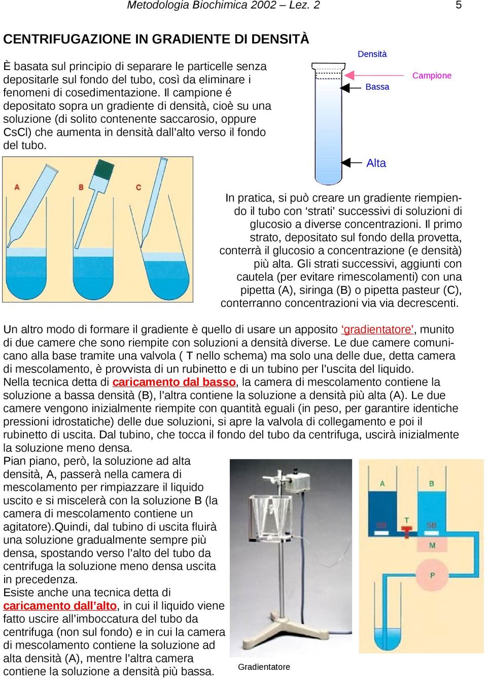 Densità Bassa Alta Campione In pratica, si può creare un gradiente riempiendo il tubo con strati successivi di soluzioni di glucosio a diverse concentrazioni.