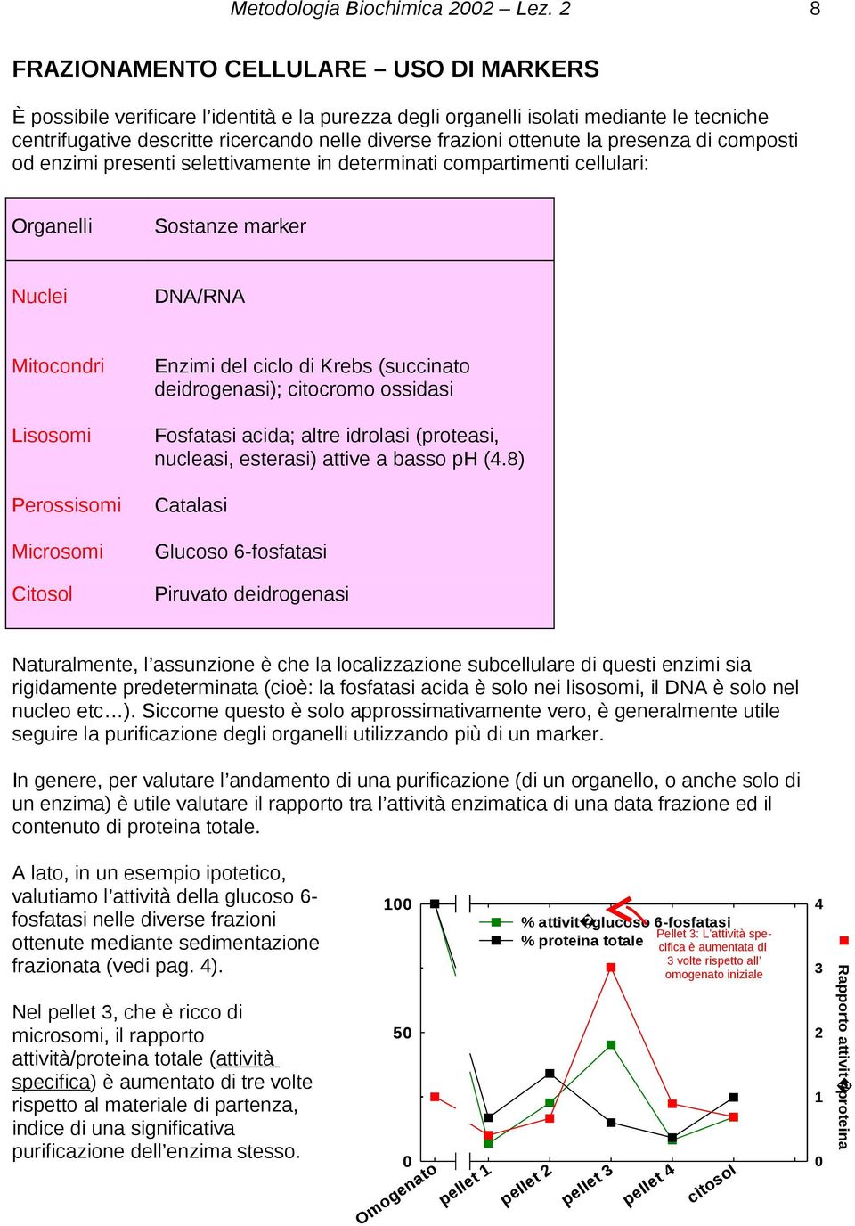 ciclo di Krebs (succinato deidrogenasi); citocromo ossidasi Fosfatasi acida; altre idrolasi (proteasi, nucleasi, esterasi) attive a basso ph (4.