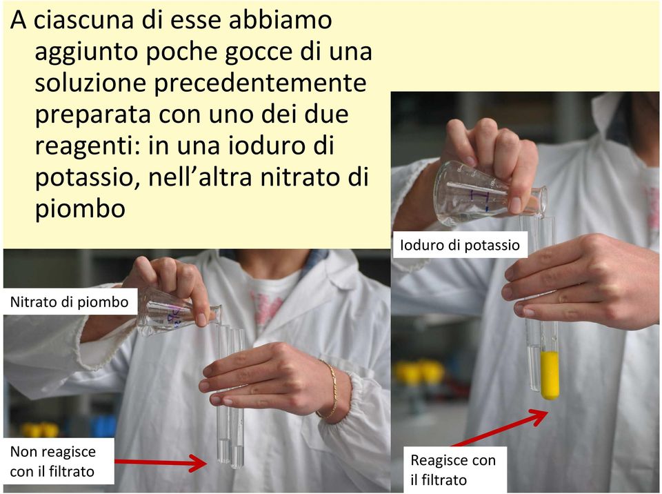 di potassio, nell altra nitrato di piombo Ioduro di potassio