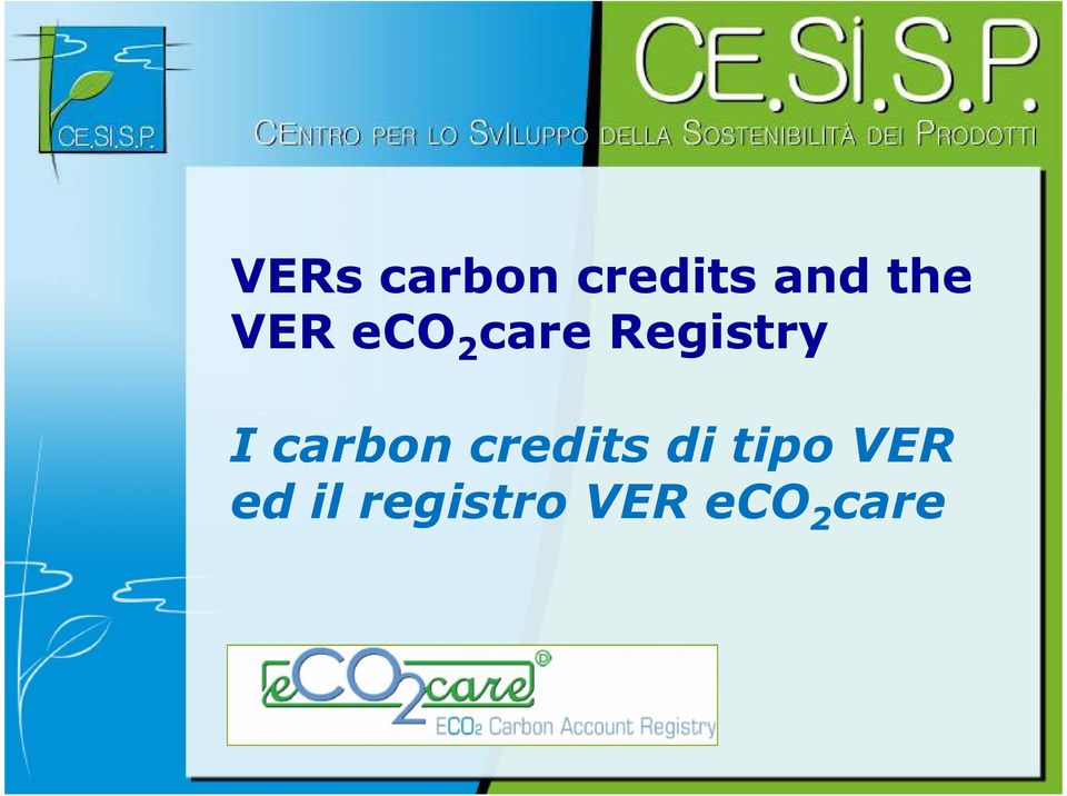 carbon credits di tipo VER
