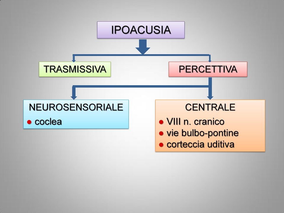 coclea CENTRALE VIII n.