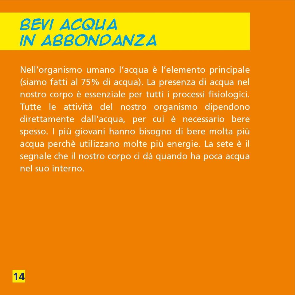 Tutte le attività del nostro organismo dipendono direttamente dall acqua, per cui è necessario bere spesso.