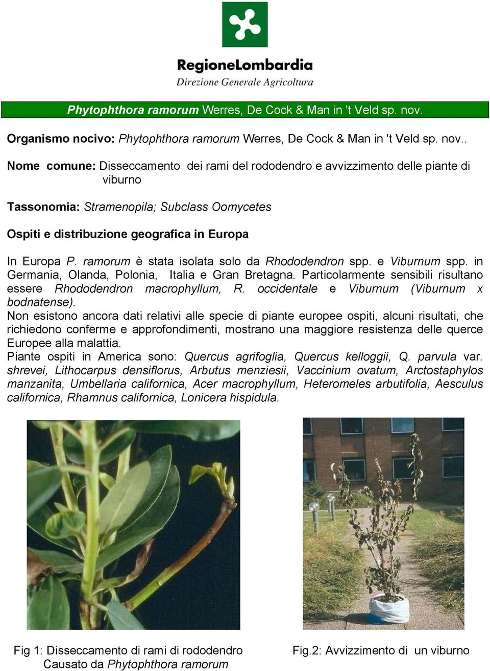 Nome comune: Disseccamento dei rami del rododendro e avvizzimento delle piante di viburno Tassonomia: Stramenopila; Subclass Oomycetes Ospiti e distribuzione geografica in Europa In Europa P.