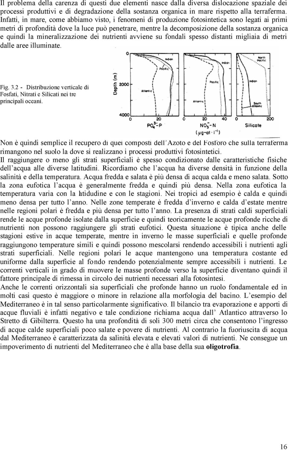 quindi la mineralizzazione dei nutrienti avviene su fondali spesso distanti migliaia di metri dalle aree illuminate. Fig. 3.