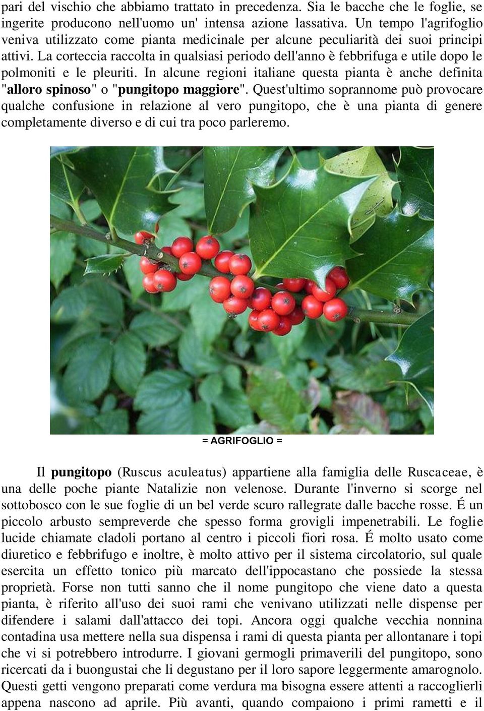 La corteccia raccolta in qualsiasi periodo dell'anno è febbrifuga e utile dopo le polmoniti e le pleuriti.