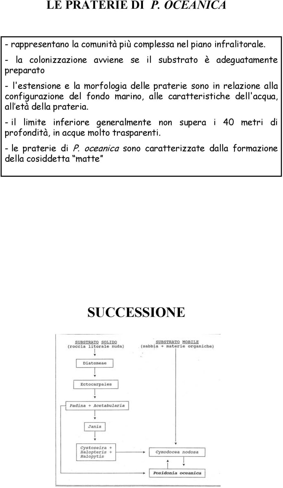 relazione alla configurazione del fondo marino, alle caratteristiche dell'acqua, all età della prateria.