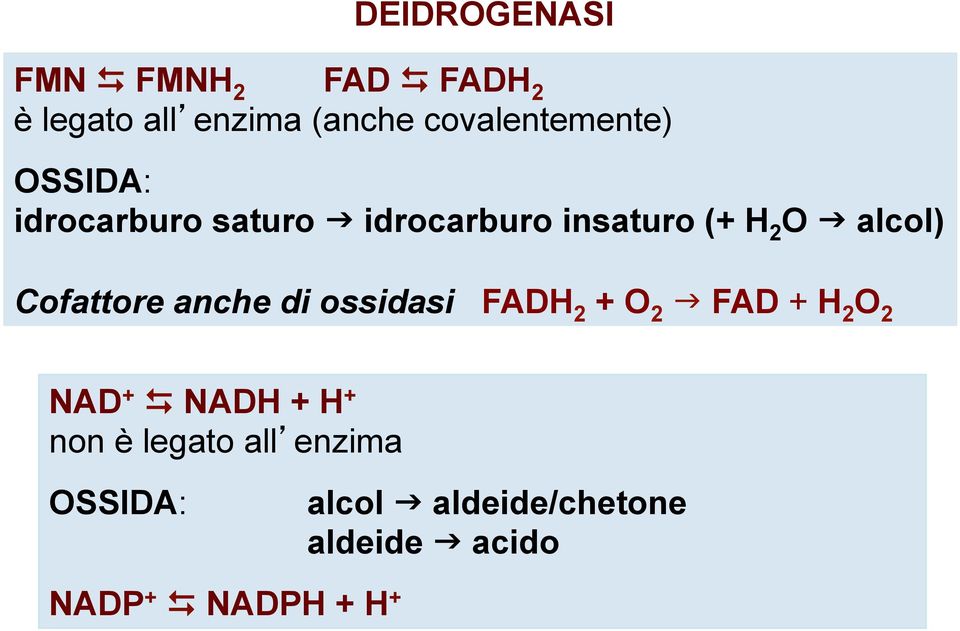 alcol) Cofattore anche di ossidasi FADH 2 + O 2 g FAD + H 2 O 2 NAD + D NADH +