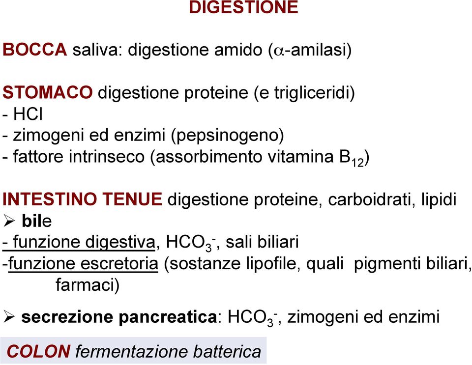 proteine, carboidrati, lipidi Ø bile - funzione digestiva, HCO 3-, sali biliari - funzione escretoria (sostanze