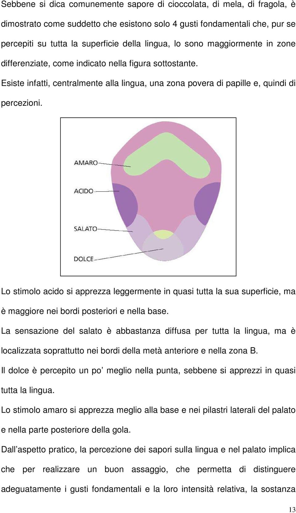 Lo stimolo acido si apprezza leggermente in quasi tutta la sua superficie, ma è maggiore nei bordi posteriori e nella base.