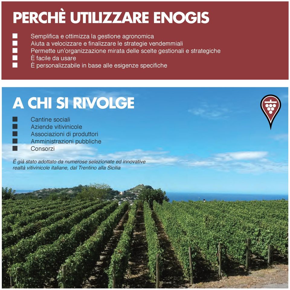 base alle esigenze specifiche A CHI SI RIVOLGE Cantine sociali Aziende vitivinicole Associazioni di produttori