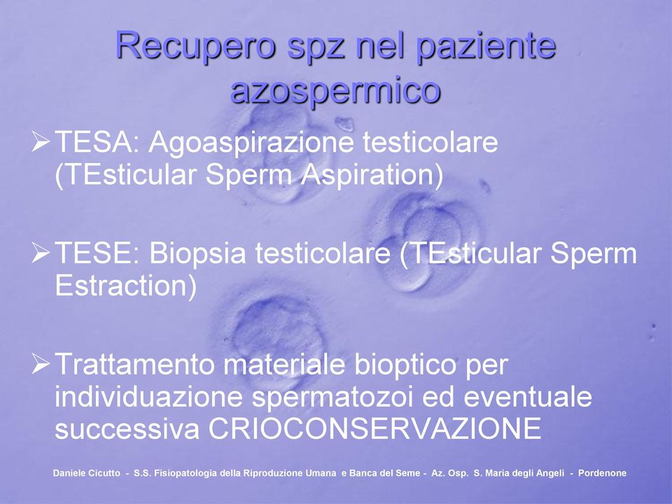 testicolare (TEsticular Sperm Estraction) Trattamento materiale