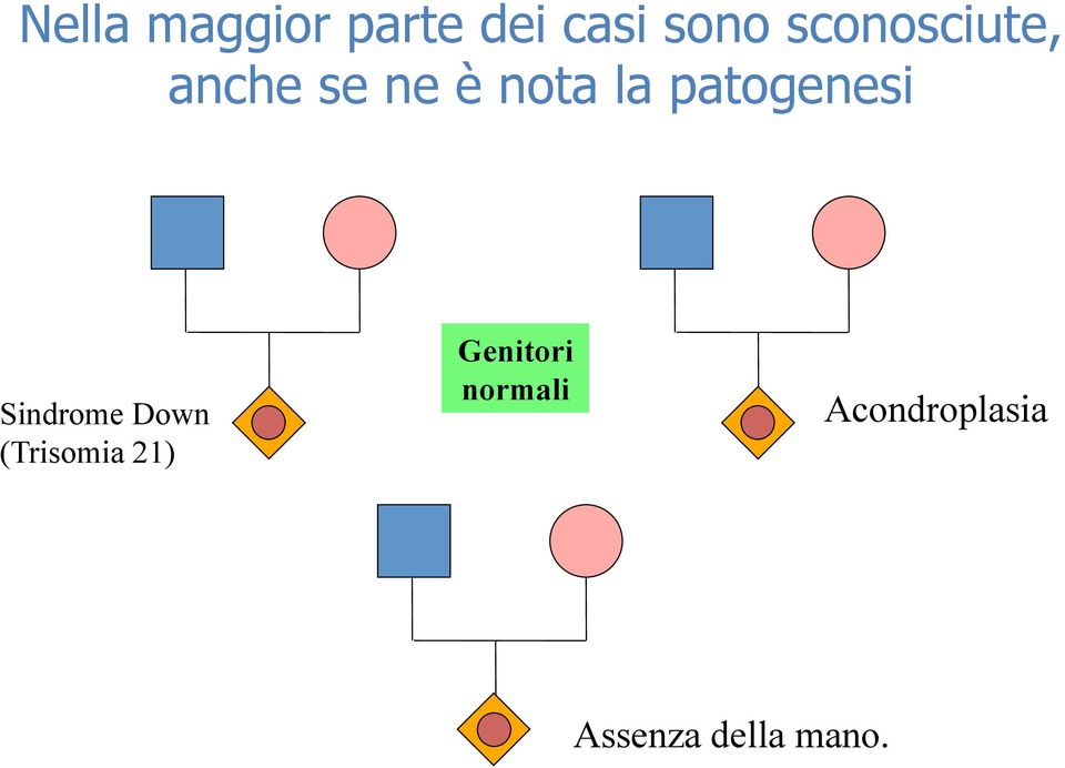 patogenesi Sindrome Down (Trisomia 21)