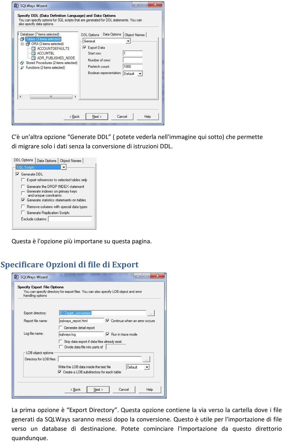 Specificare Opzioni di file di Export La prima opzione è Export Directory.