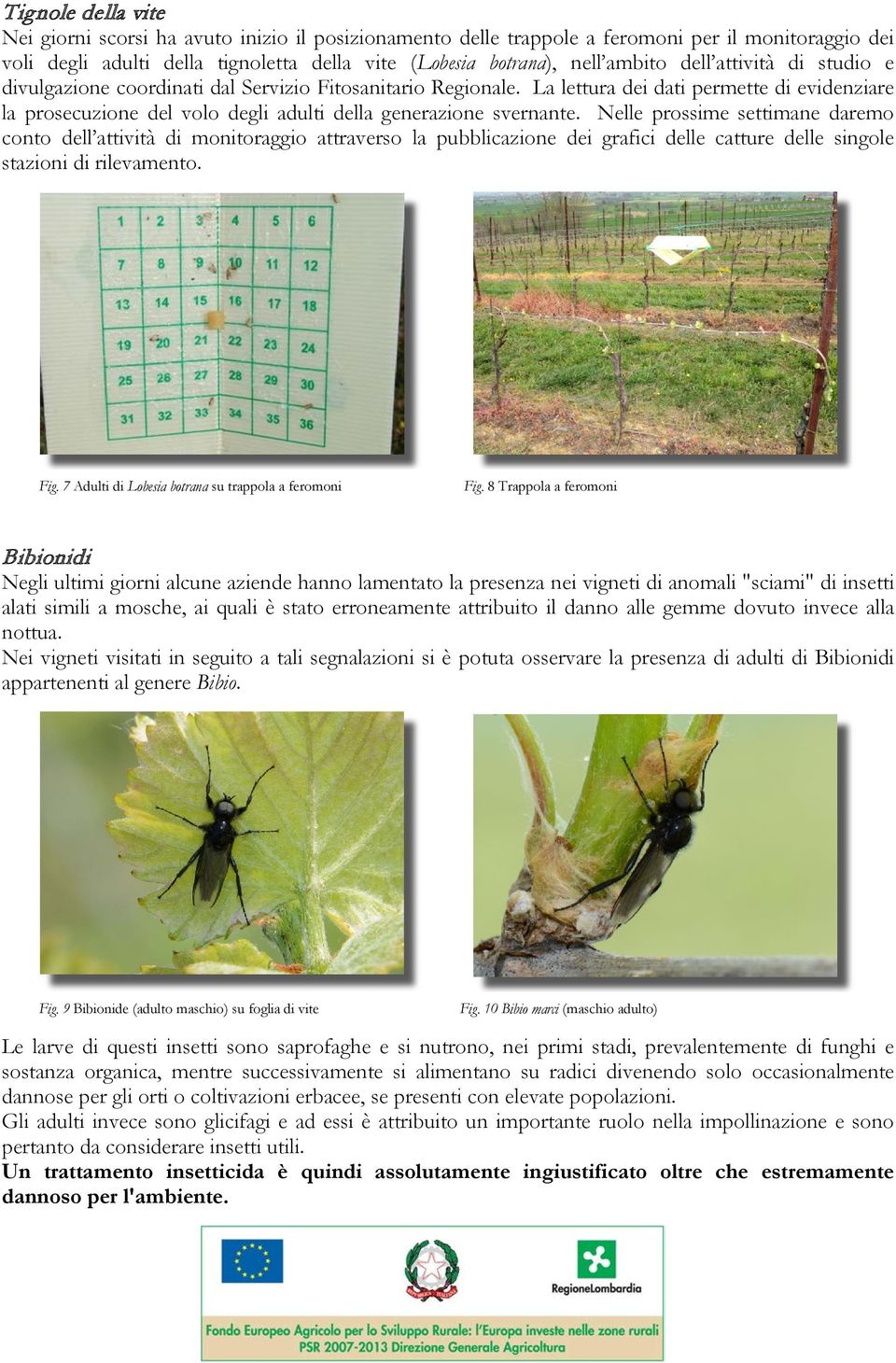 Nelle prossime settimane daremo conto dell attività di monitoraggio attraverso la pubblicazione dei grafici delle catture delle singole stazioni di rilevamento. Fig.