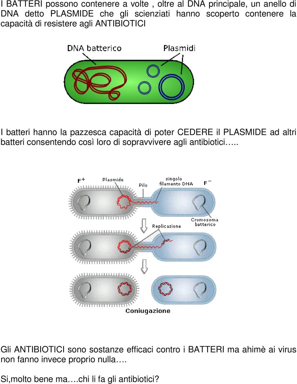 CEDERE il PLASMIDE ad altri batteri consentendo così loro di sopravvivere agli antibiotici.