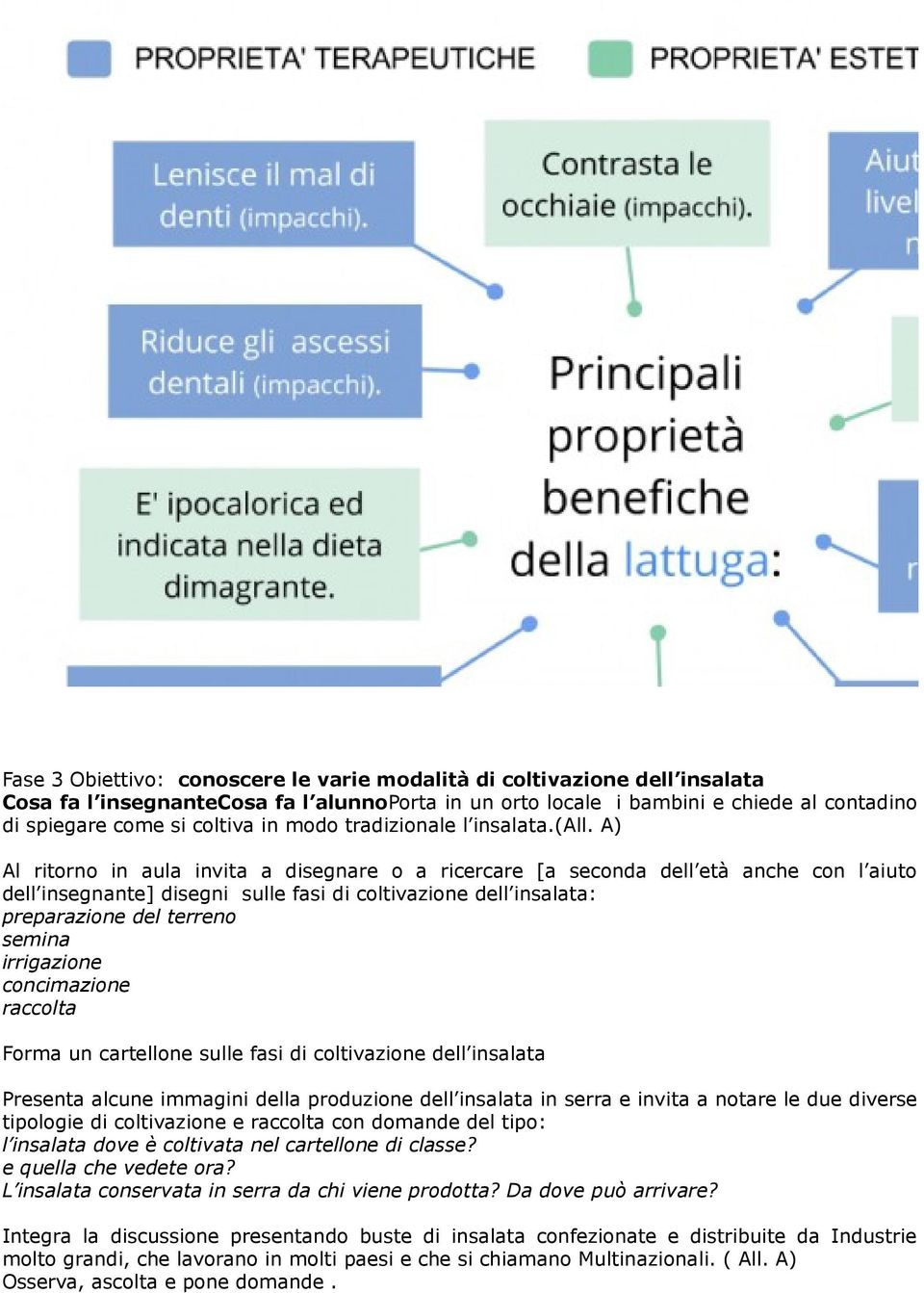 A) Al ritorno in aula invita a disegnare o a ricercare [a seconda dell età anche con l aiuto dell insegnante] disegni sulle fasi di coltivazione dell insalata: preparazione del terreno semina