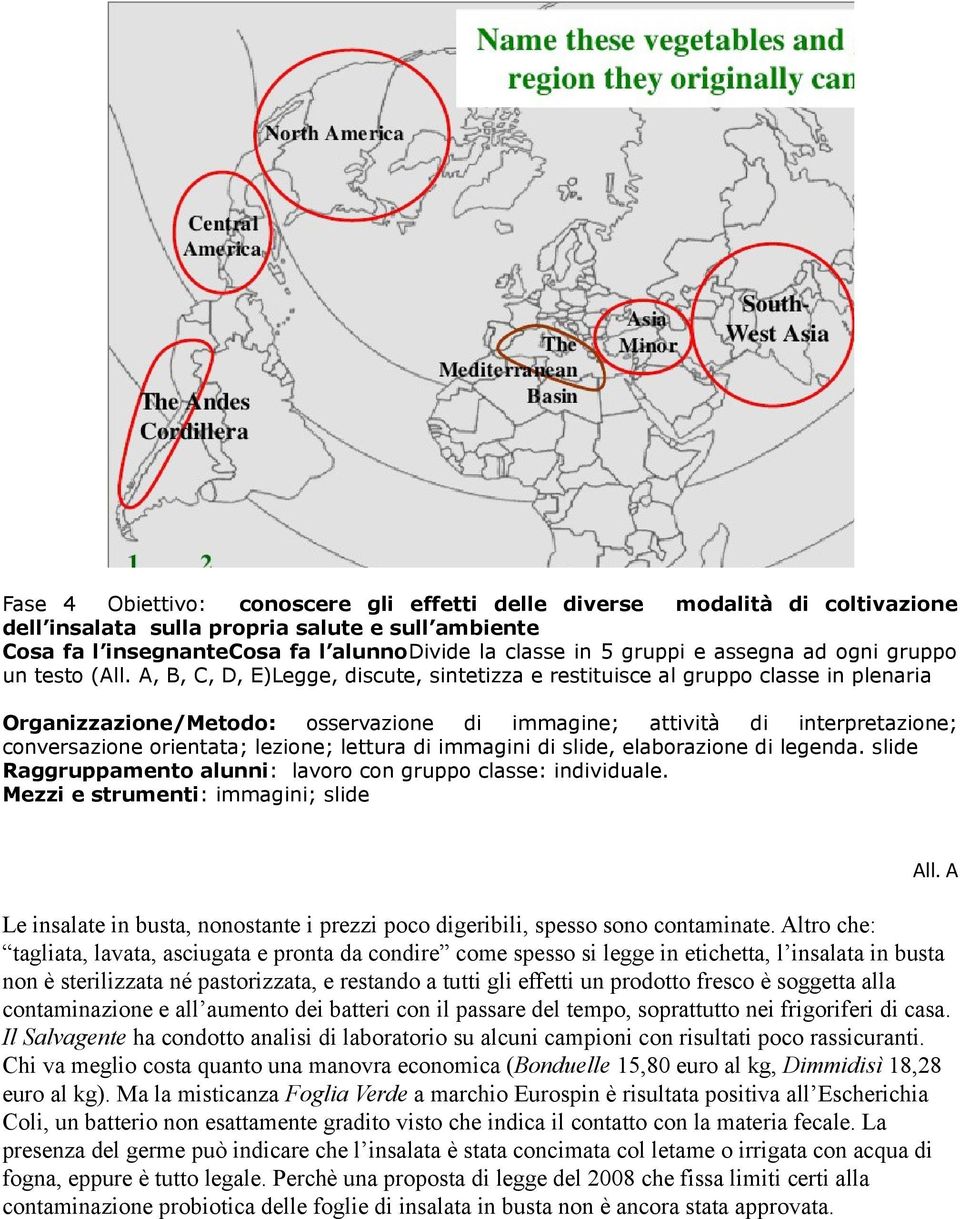 A, B, C, D, E)Legge, discute, sintetizza e restituisce al gruppo classe in plenaria Organizzazione/Metodo: osservazione di immagine; attività di interpretazione; conversazione orientata; lezione;