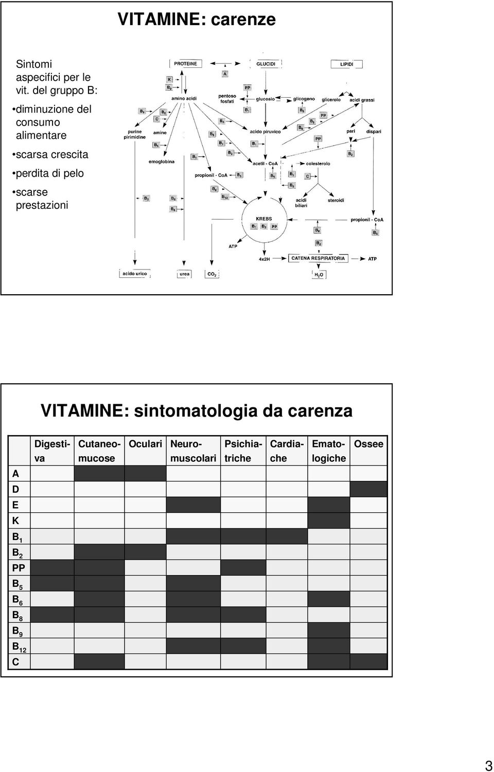 pelo scarse prestazioni VITAMINE: sintomatologia da carenza A D E K