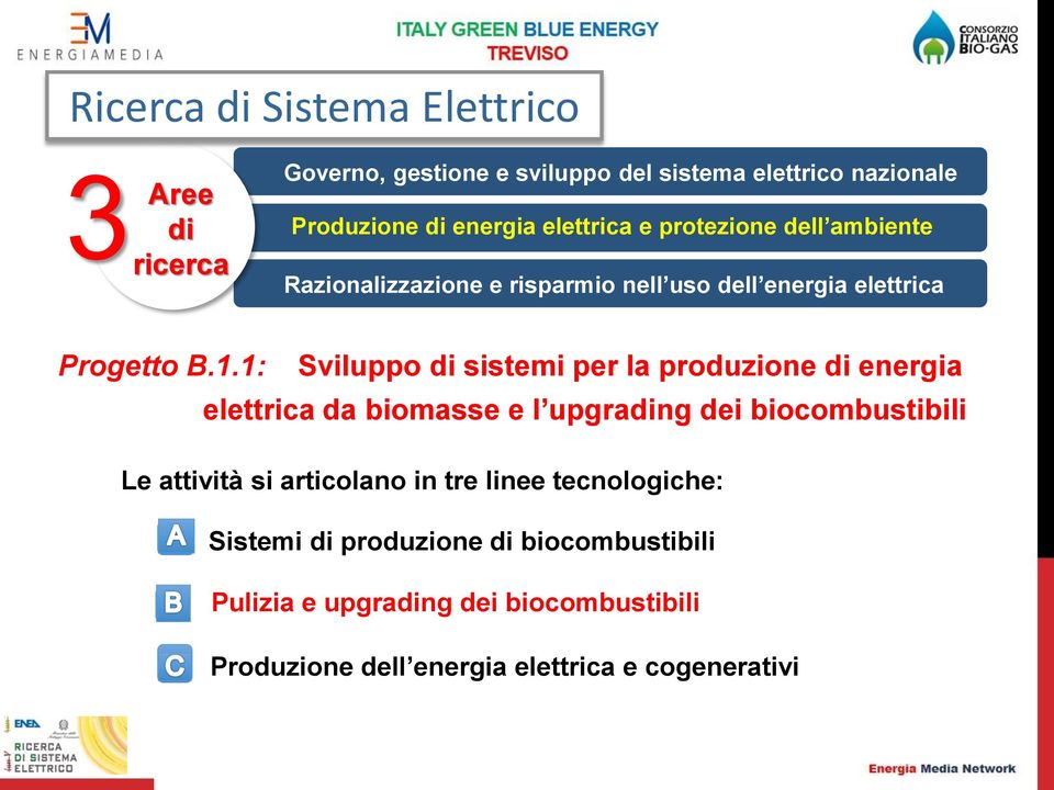 1: Sviluppo di sistemi per la produzione di energia elettrica da biomasse e l upgrading dei biocombustibili Le attività si articolano in