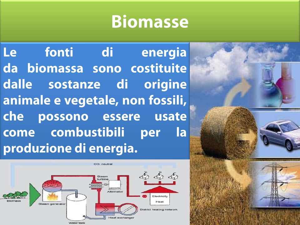 vegetale, non fossili, che possono essere