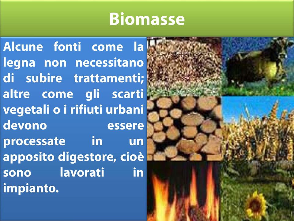 o i rifiuti urbani devono essere processate in un